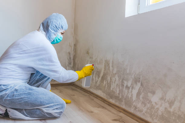 Mold Remediation specialist working in Montclair